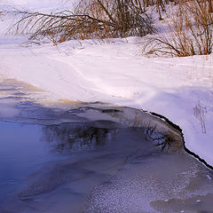 фото "весна"