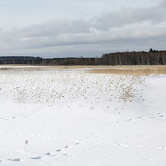 фото "Ридасъярви"