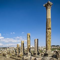 photo "Columns"