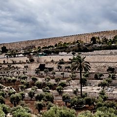 photo "Tiers of Jerusalem"