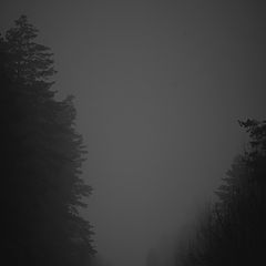 фото "Сквозь туман"