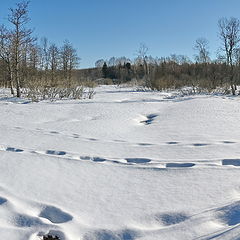 фото "Пешеходная зона...)"