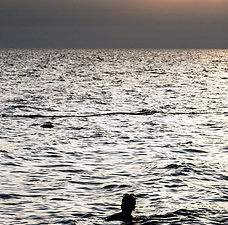photo "Одинокий пловец."