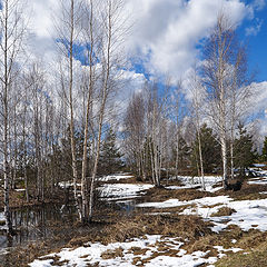 фото "Апрель"