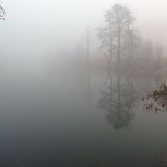 фото "Настоящий туман (8)"