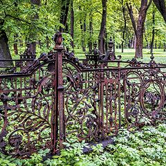 фото "Старая ограда"