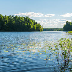 фото "Заводь"