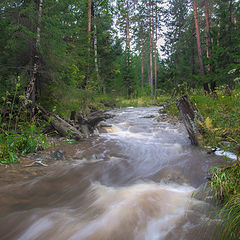 фото "Бурный поток"