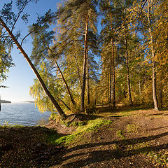 фото "Берег озера"