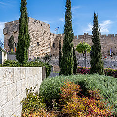 фото "Иерусалим - недалеко от стены плача"