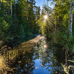 фото "Лесное озеро"