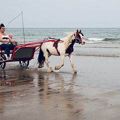 фото "Жарким июльским днём..."