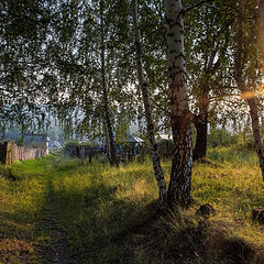 фото "Вечер на околице"