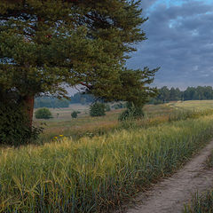 фото "август"