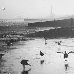 фото "Brighton Central Beach"