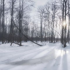 фото "Немного прохлады в жаркий период...)"