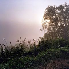 photo "***"
