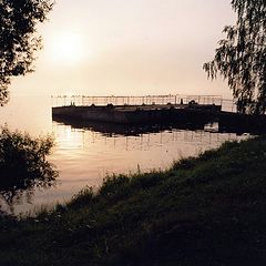 фото "Просыпающиеся птицы"