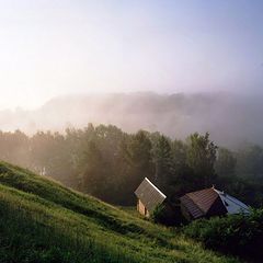 photo "***"