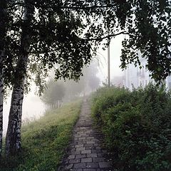 photo "***"