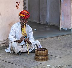 photo "Snake Charmer"