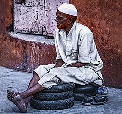 photo "Sage on motorcycle tires"