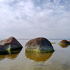 photo "Low tide"