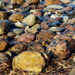 photo "coastal pebbles"