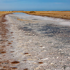 photo "река....была"