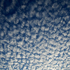 photo "Sky abstract"