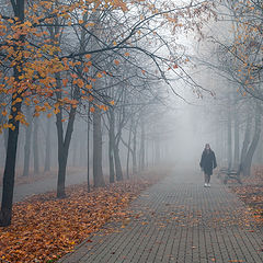 фото "Когда город растворяется в тумане"