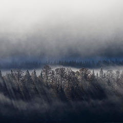 photo "Sylvenstein Dam"