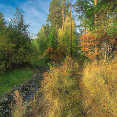 фото "Осенняя тропинка"