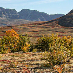 фото "Rondane mountains"