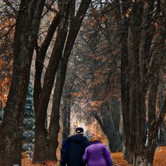 photo "Двое... дорога в Осень."