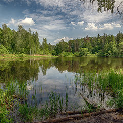 фото "Тихая река"