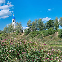 фото "В зарослях бальзамина..."