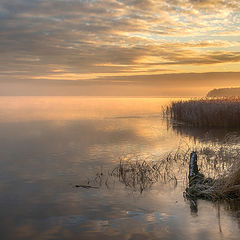 фото "рассвет"