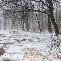 photo "***"