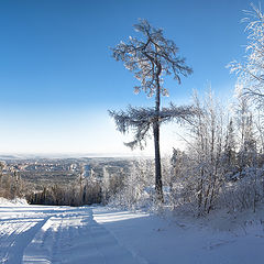 фото "Зимний полдень"