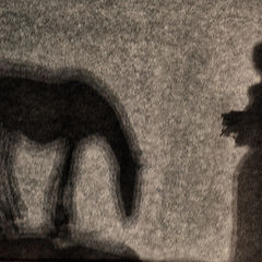 photo "country girl and horse. shadows..."
