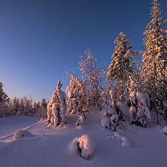 фото "Розовое утро"