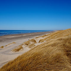 photo "The beach"