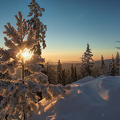 фото "Зимнее солнце"