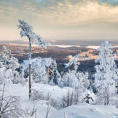 фото "Красавица зима"