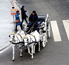 photo "Повседневная жизнь в Вене..."