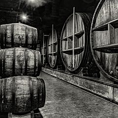 photo "How Port Wine Matures"