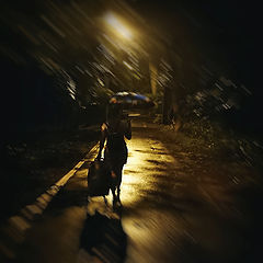 фото "Ночь,дождь,парк,незнакомка"