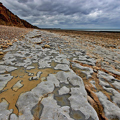 photo "предгрозоморье"