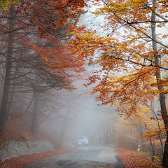 фото "Осенними дорогами..."